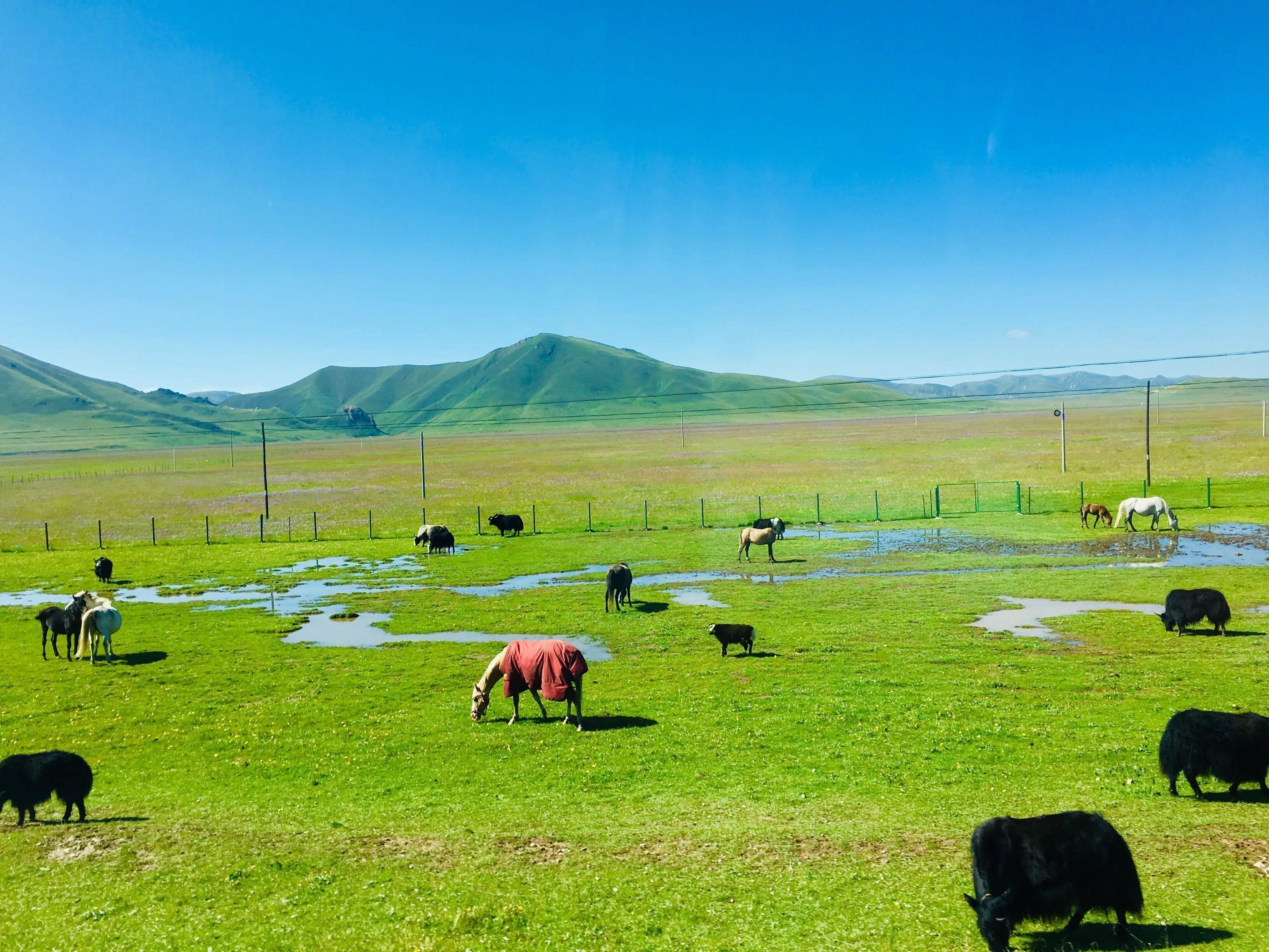 夏河景点图片