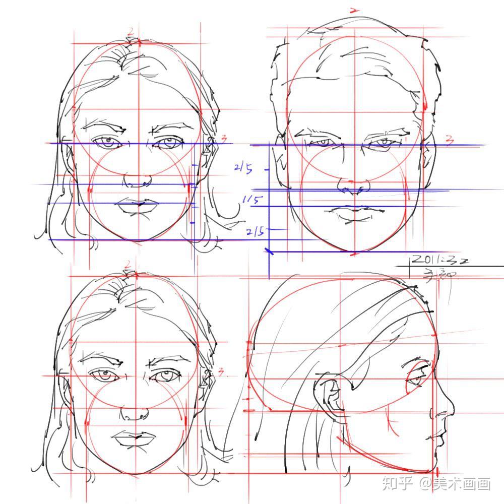 如何掌握素描头部结构比例一文告诉你