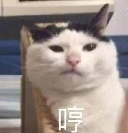 v2-dcd85c67e2c35137aae52f267f6d8aa9_r.jpg