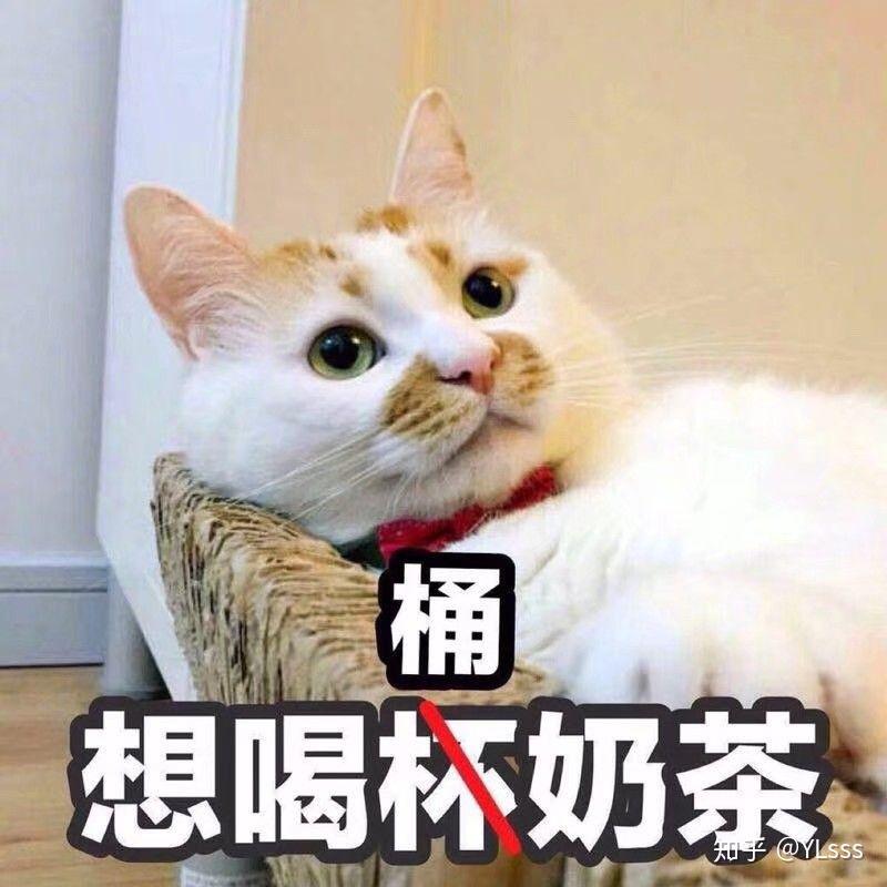 如何评价全民k歌灵魂歌手石玺彤?