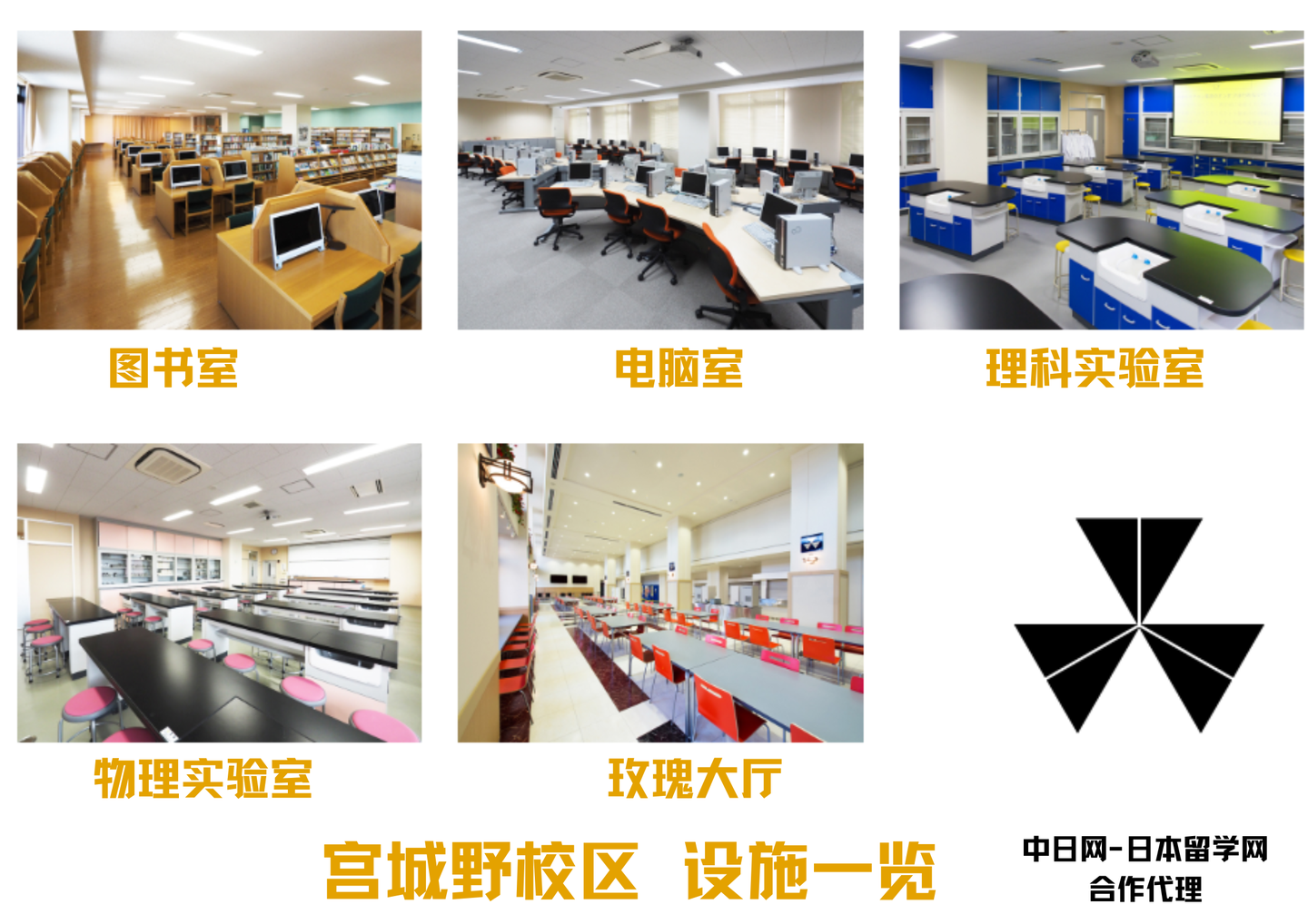 请输入图片描述