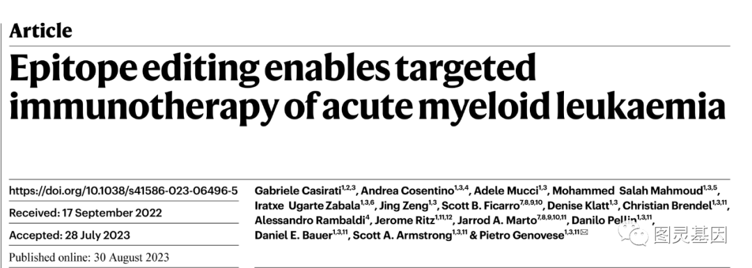 Nature 哈佛医学院通过表位编辑定向免疫治疗急性髓系白血病 知乎