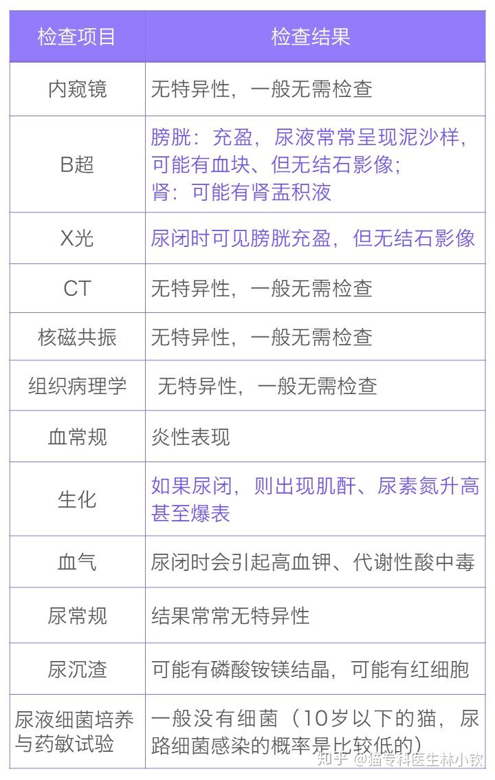 猫自发性膀胱炎2.3:猫尿频?尿少?尿血?尿痛?尿不出?最新方案