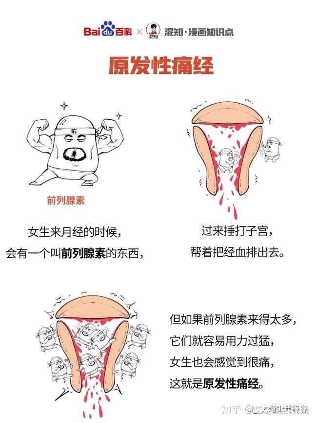 月经量图解图片