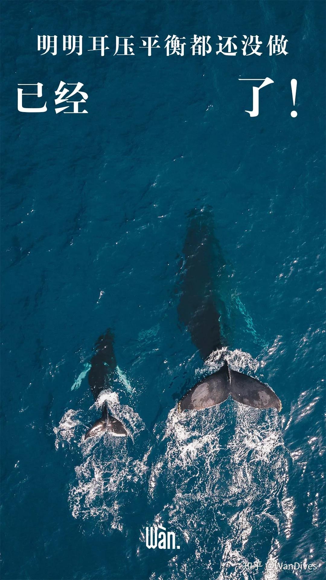 这里有一套很丧的壁纸分享给大家,祝大家周末