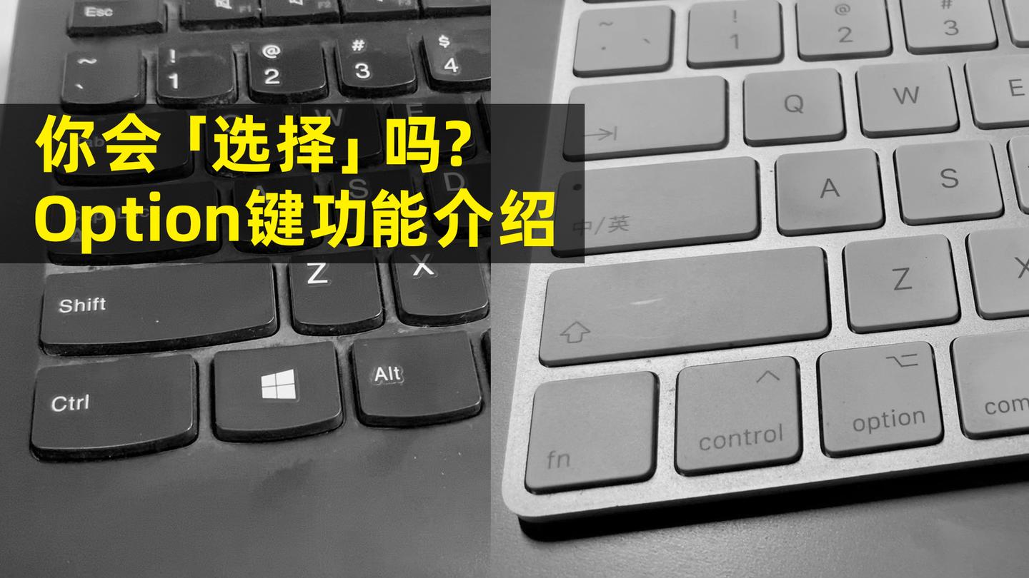 mac键盘上option键使用技巧