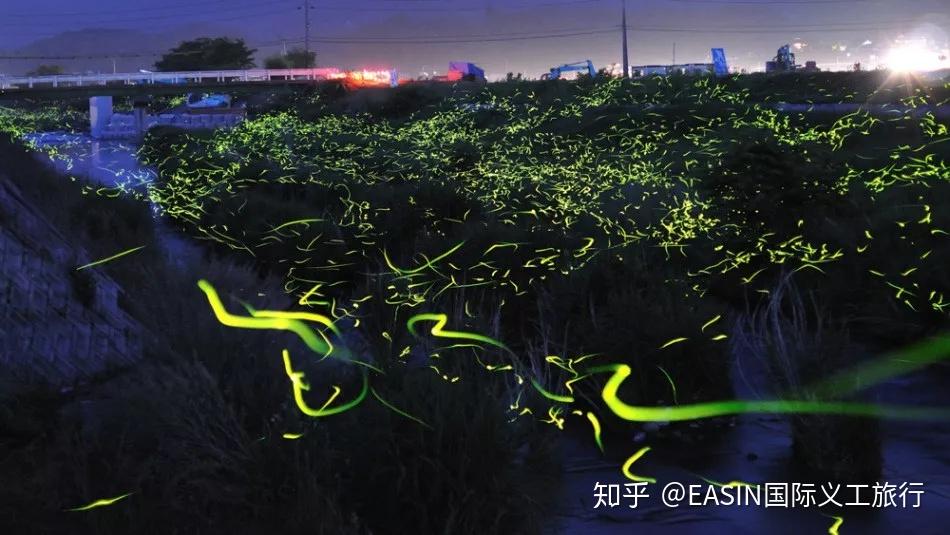 v2-dd19614ebe50556a2b7cb3f5aae46875_r.jpg
