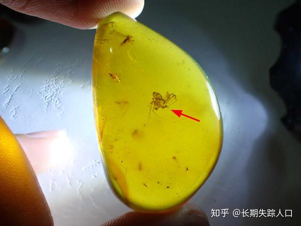 常见5种假化石20