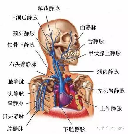 v2-dd28443ee7ee2c1a24d128a6b634feb9_r.jpg
