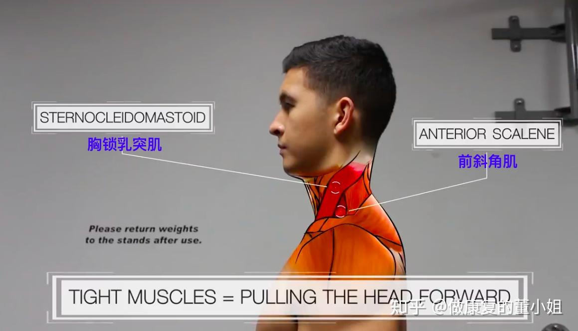 董小姐教你调体态part1头前引内附完整视频
