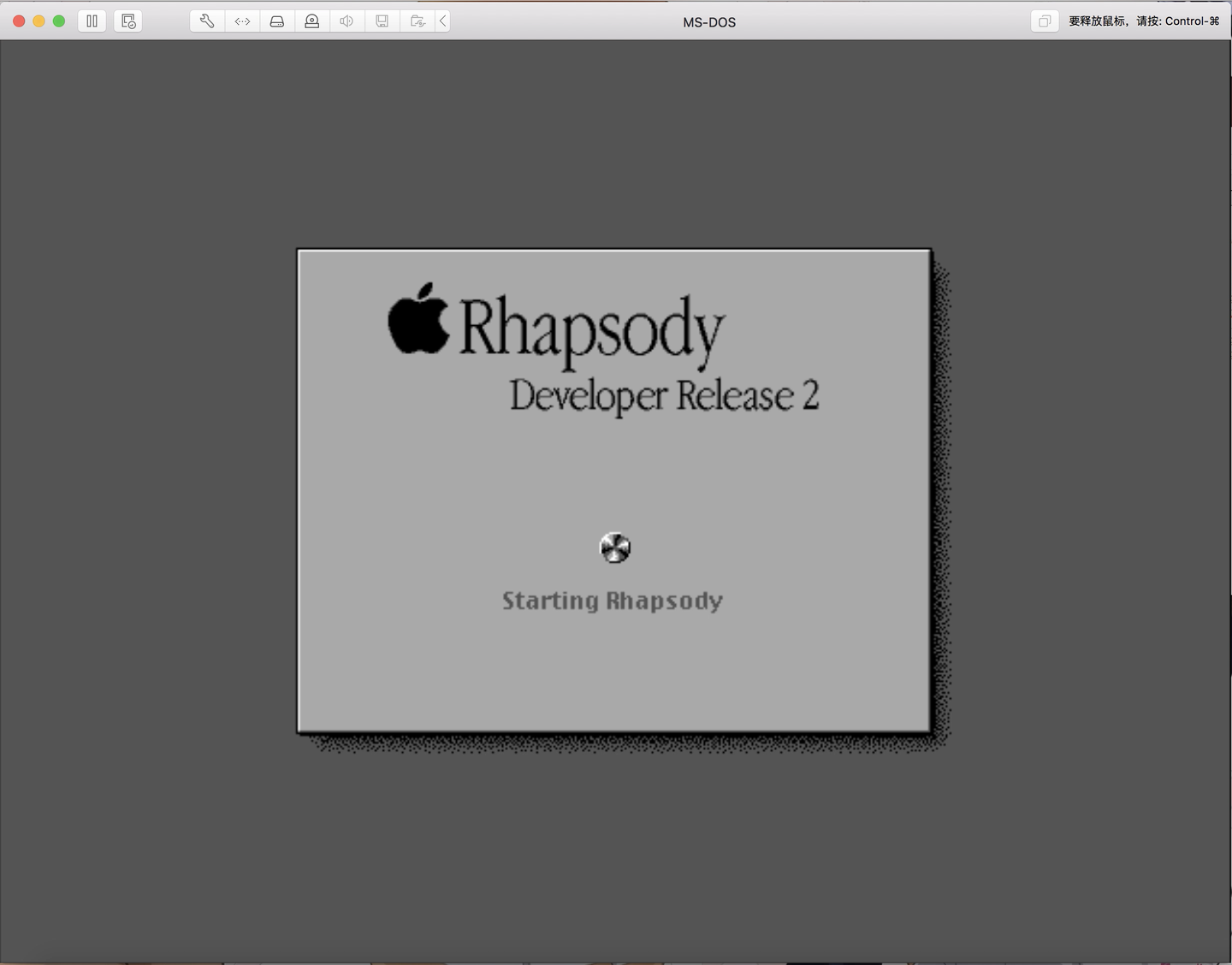 Rhapsody Interface Engine R Logo VMWare品尝Rhapsody - 知乎