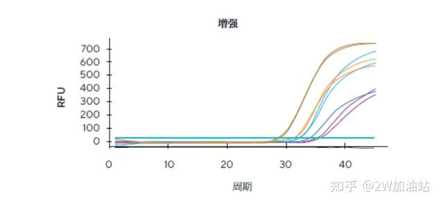 支原体检测中的CFU与拷贝数(GC)有什么关系? - 知乎