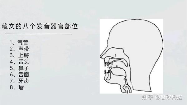 发音小知识 - 知乎