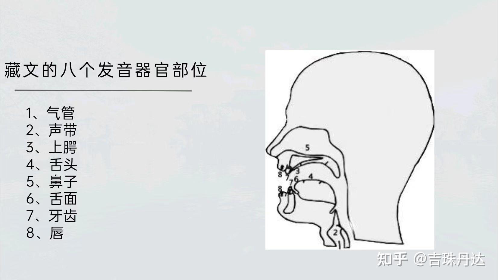 发音小知识 - 知乎