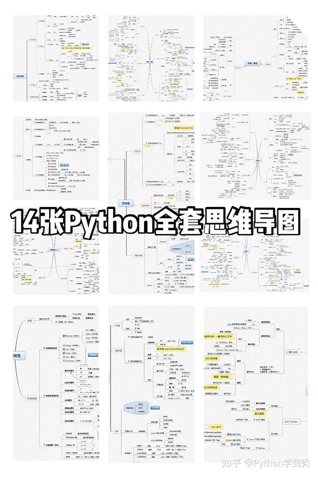 15 python 15 python