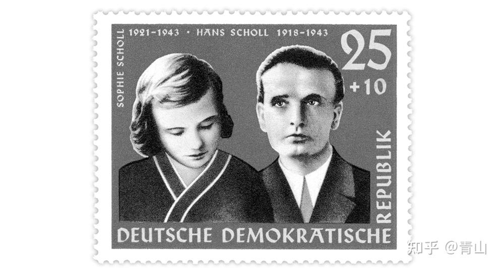 第049天高墙下的白玫瑰