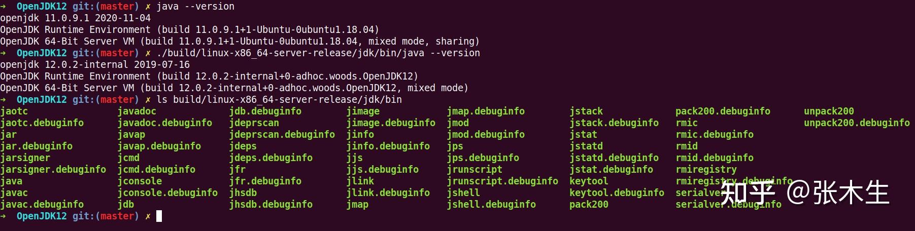 Openjdk runtime environment это