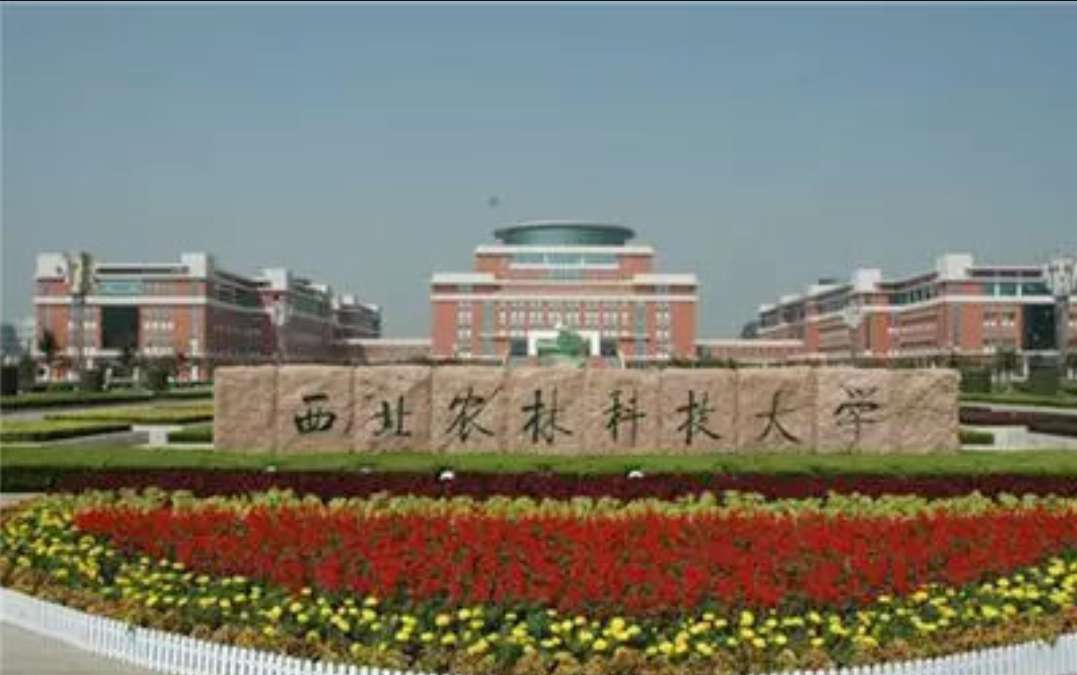 兰州大学明明实力很强,但是由于地理位置偏远,位于我国西北地区的甘肃