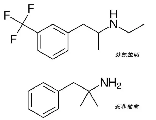 结石药的原理_所以根据我们人自身的生理特点,理论上最大横径为0.6cm以下的结石都可以用药物