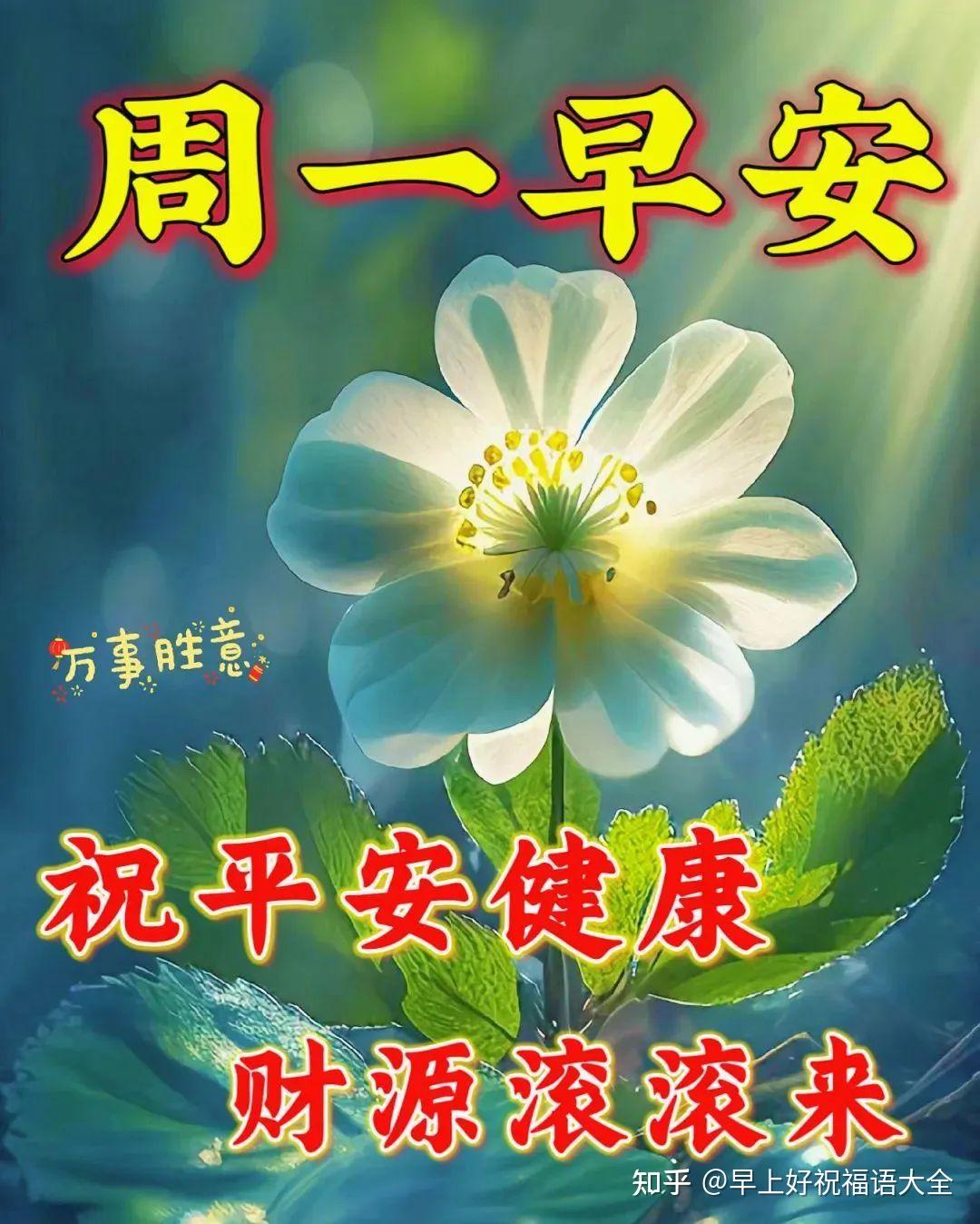 7月3日周一早上好漂亮祝福图片带字问候语 - 知乎