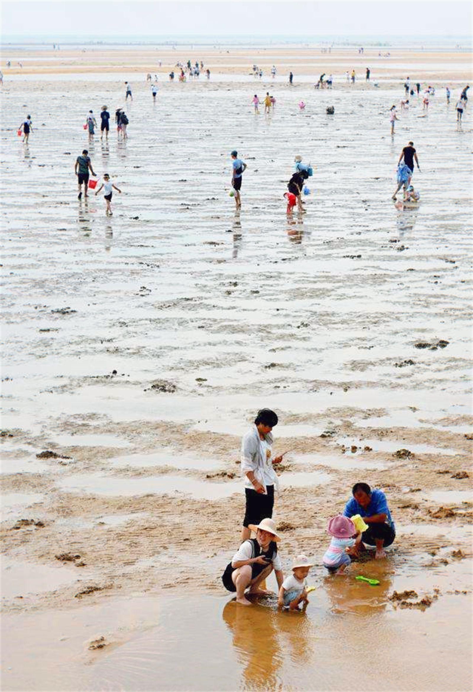 刘家湾赶海园退潮图片