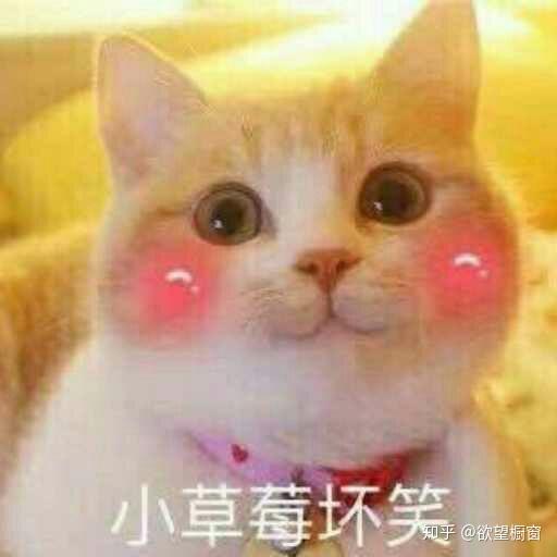 为什么总有人在说金州裁判队?