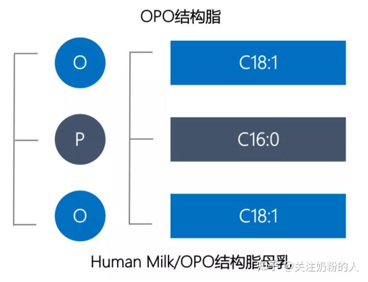 opo结构脂母乳中神奇的脂肪酸