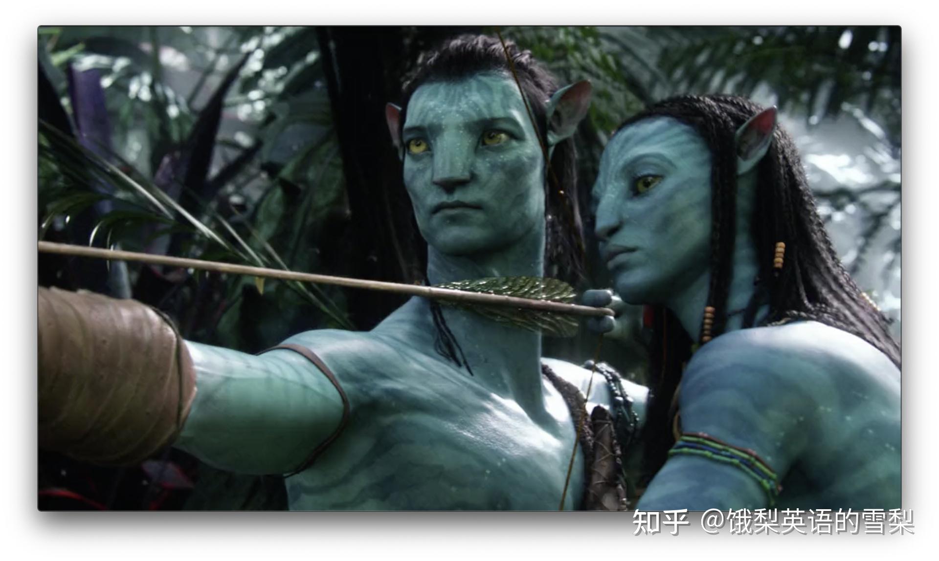 阿凡达重映才发现字幕问题那么大