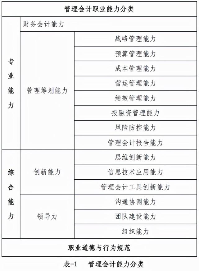 管理会计人才培养指引和依据中国总会计师师协会中国管理会计职业能力