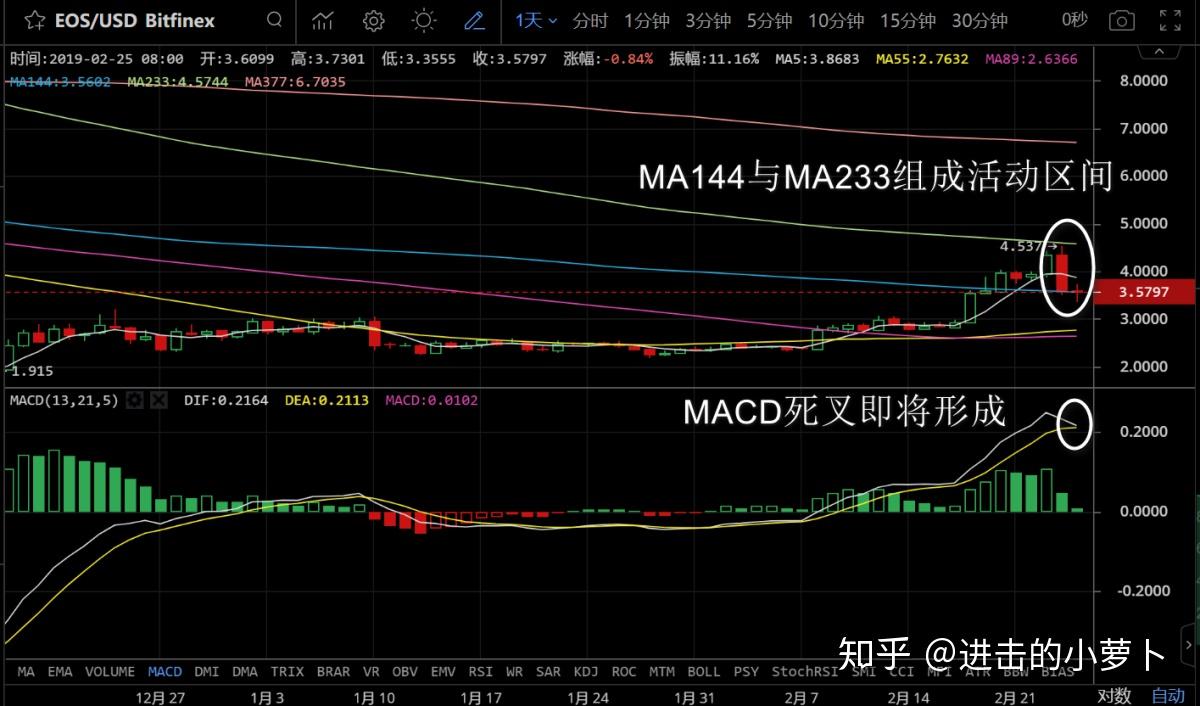 预测一下柚子的走势