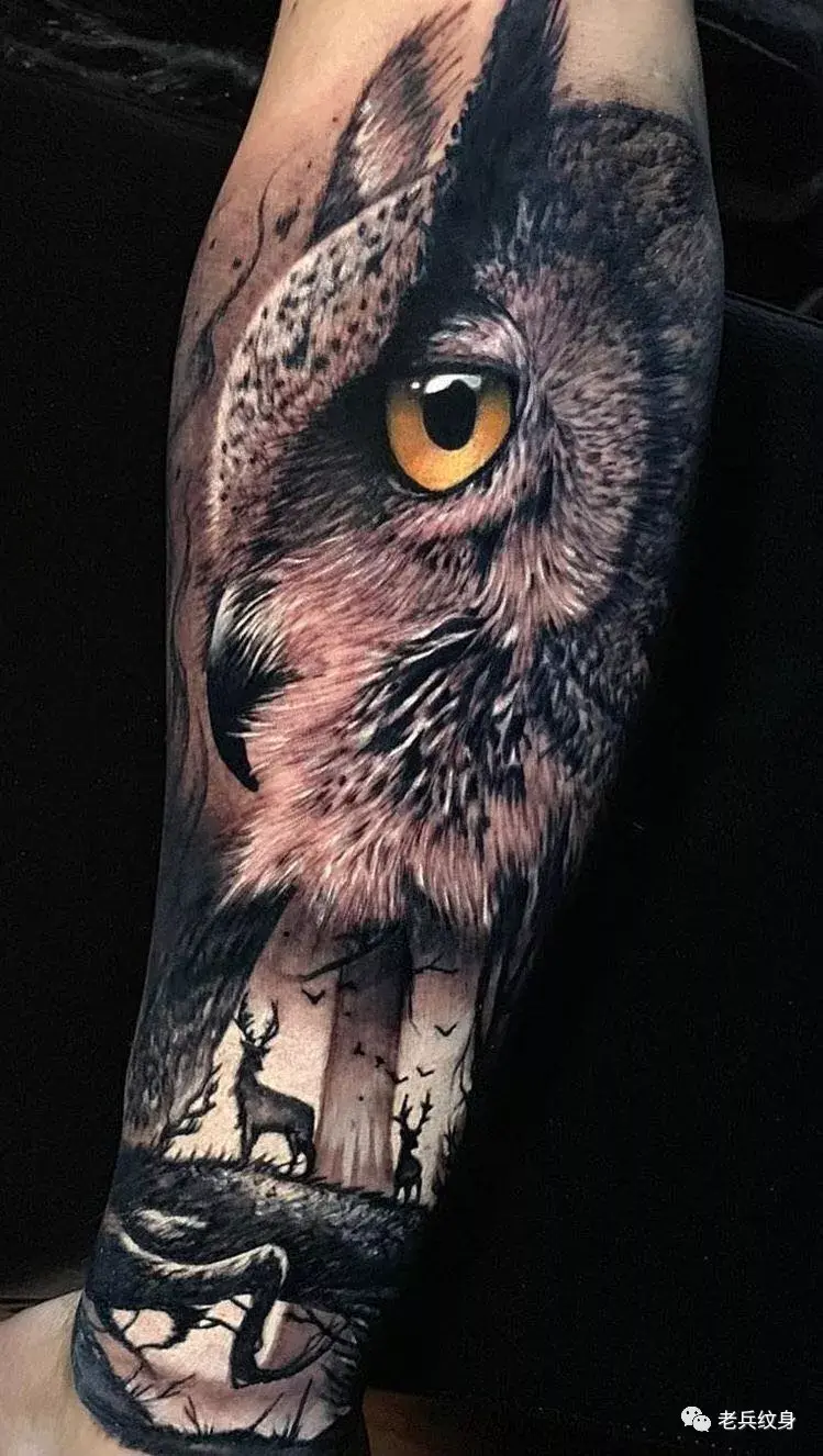 纹身素材——写实风格猫头鹰 