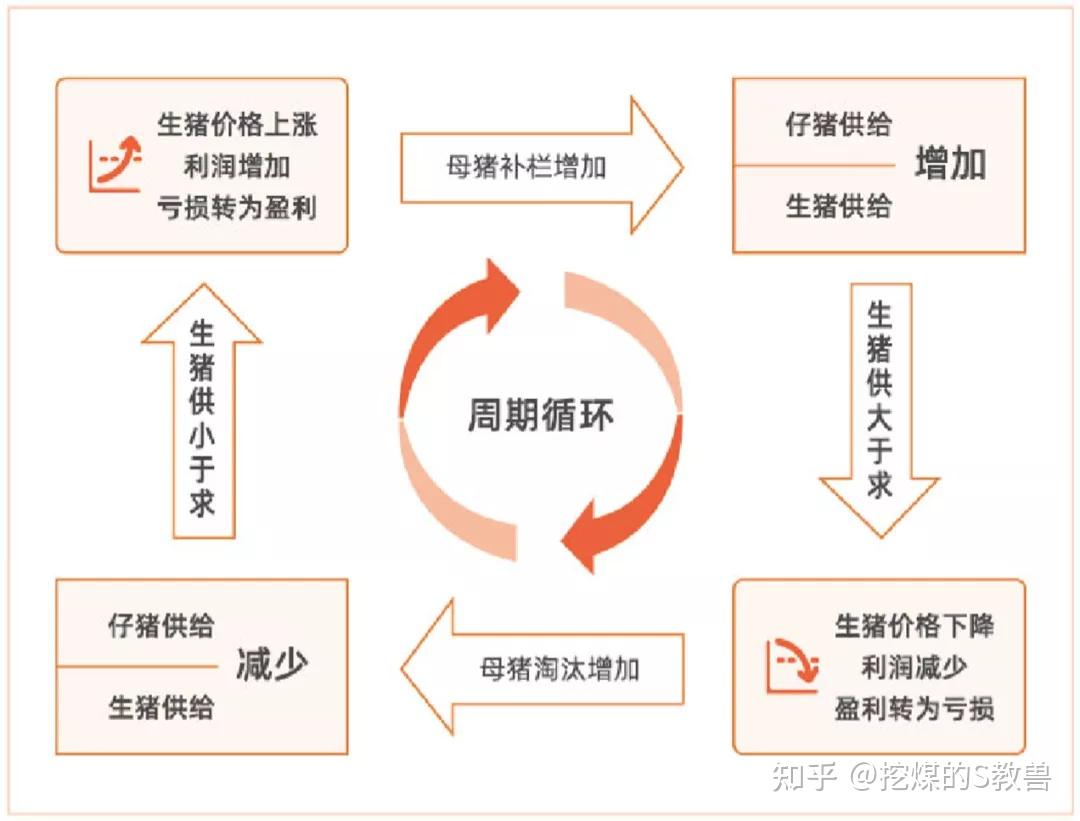 生豬期貨產業鏈系列專題一