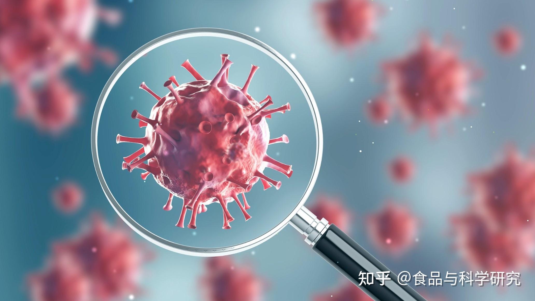 新冠疫情与食品食物能预防新冠病毒