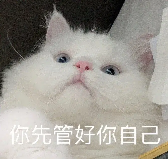 114张猫咪的动图表情包