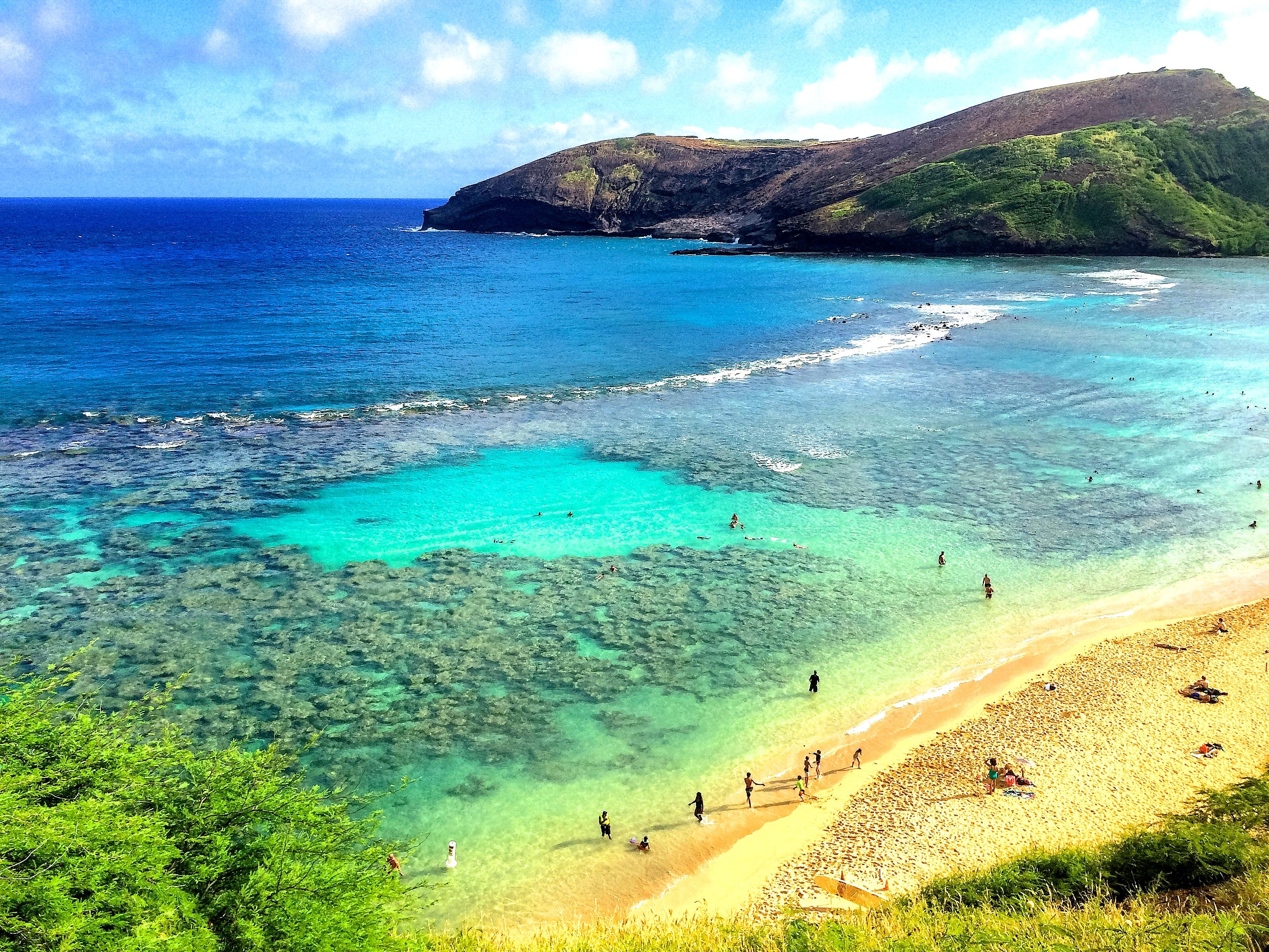 夏威夷景点攻略:恐龙湾(hanauma bay) - 知乎