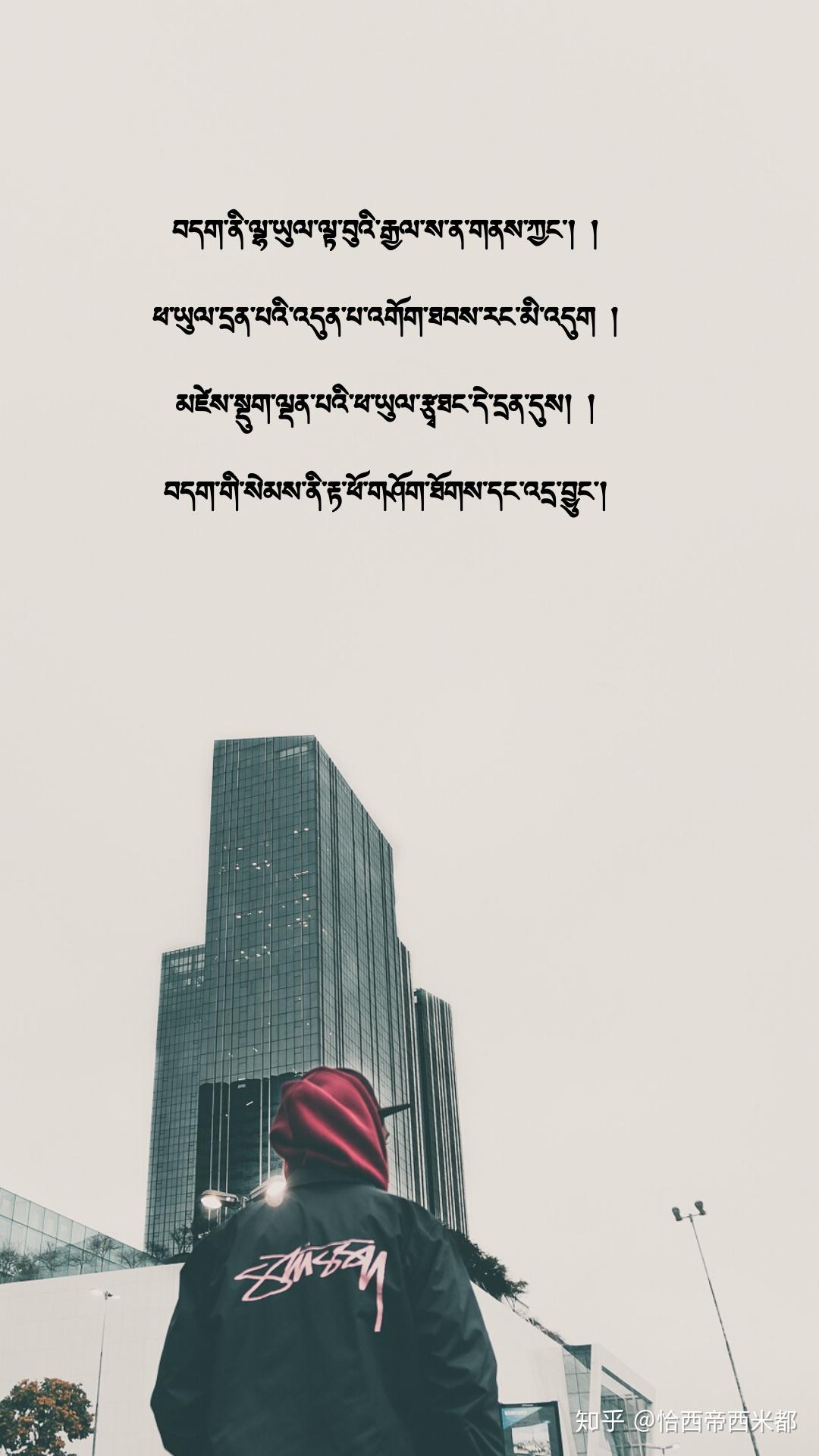 北漂的藏獒藏式壁纸