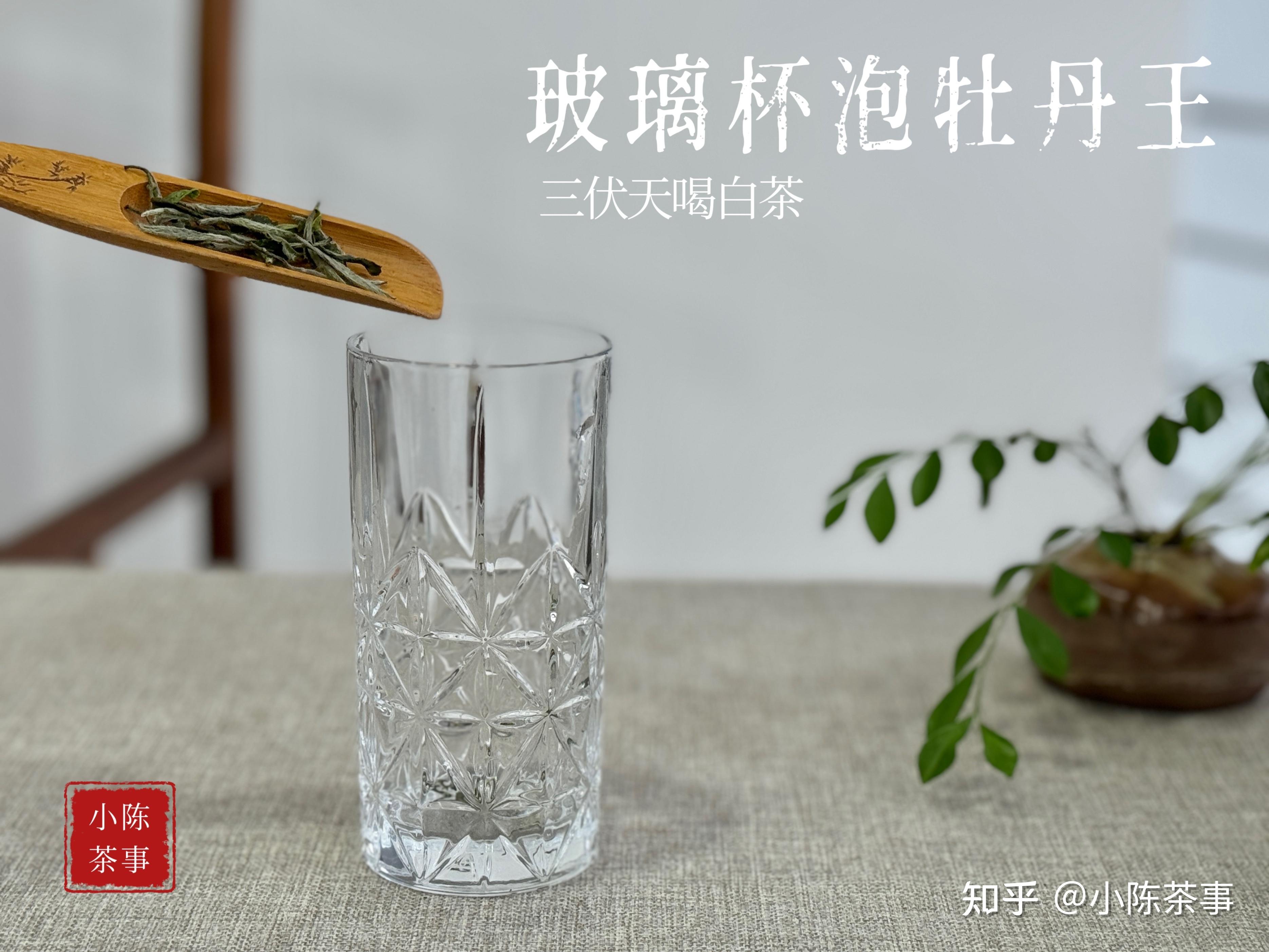 简单4步，教你用万能玻璃杯泡茶技巧，1分钟泡出好喝的茶汤 - 知乎