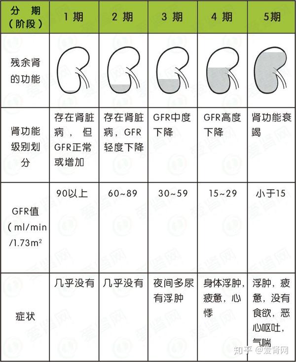 肾小球滤过率分期图片