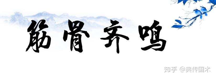 拳法筋骨齐鸣筋骨齐鸣是什么拳法详解典传筋骨开发