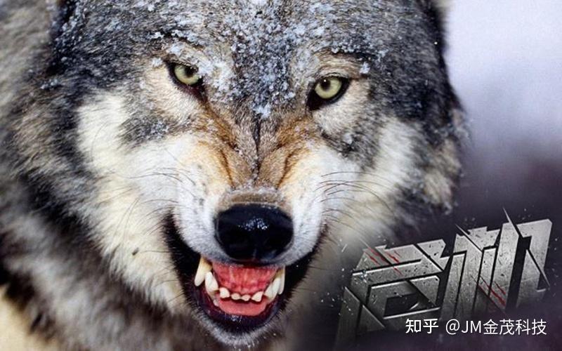 华为灵魂竟不是狼性文化？ - 知乎