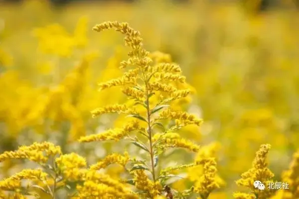 9月6日生日密码 9月23日生日密码 9月6日生日的人爱情