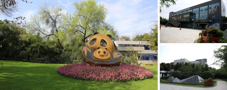 建设中国大熊猫乐园;熊猫基地明年5月完成改扩建;熊猫之窗,熊猫小镇已