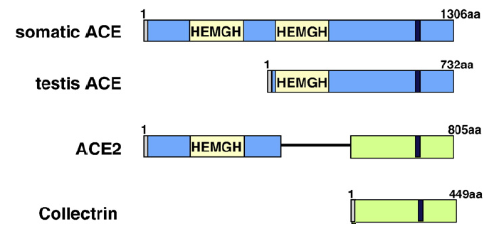 v2-de343ffffc979f5d4a774a4d73617751_r.jpg