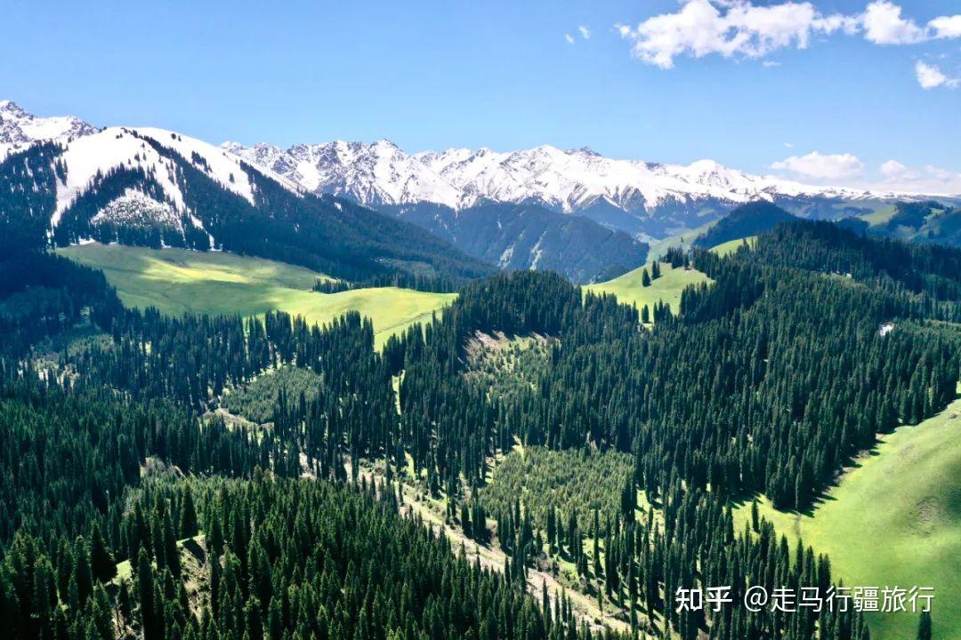 6-8月 | 小众伊犁|天山腹地,河谷深处。这里才是真实的伊犁河谷 - 知乎