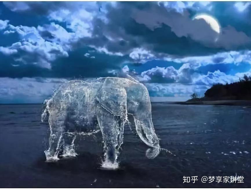 一组液体动物,晶莹剔透,还有什么是PS做不到的