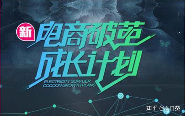 淘宝网代营运_6年营运实战经验预测2019年淘宝网营运路径_chan_(淘宝网代营运子公司营运)