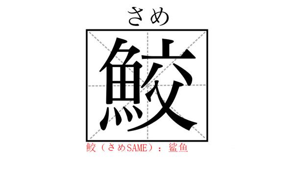 与 鱼 相关的日文汉字大汇总 学会这些 再也不怕去寿司点不知道怎么点了 知乎