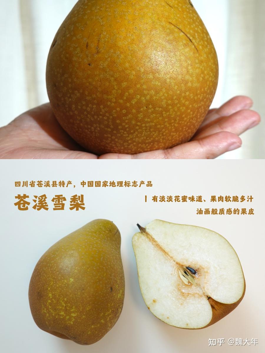 梨合集丨7个不同产地的梨测评(口感、风味、吃法) - 知乎
