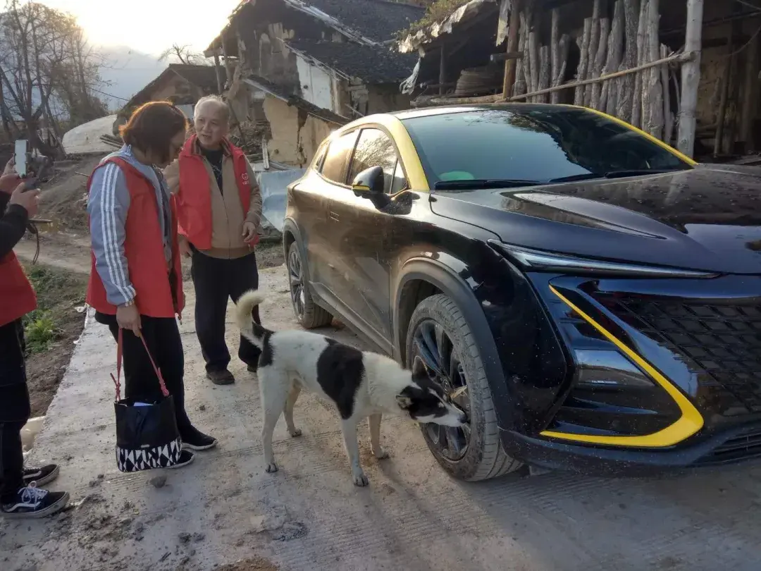狗哥的重庆4d人生敢拼敢闯将温暖传递下去