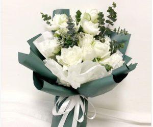 珍珠吊兰易腐 看看十大易腐原因及解决办法 知乎